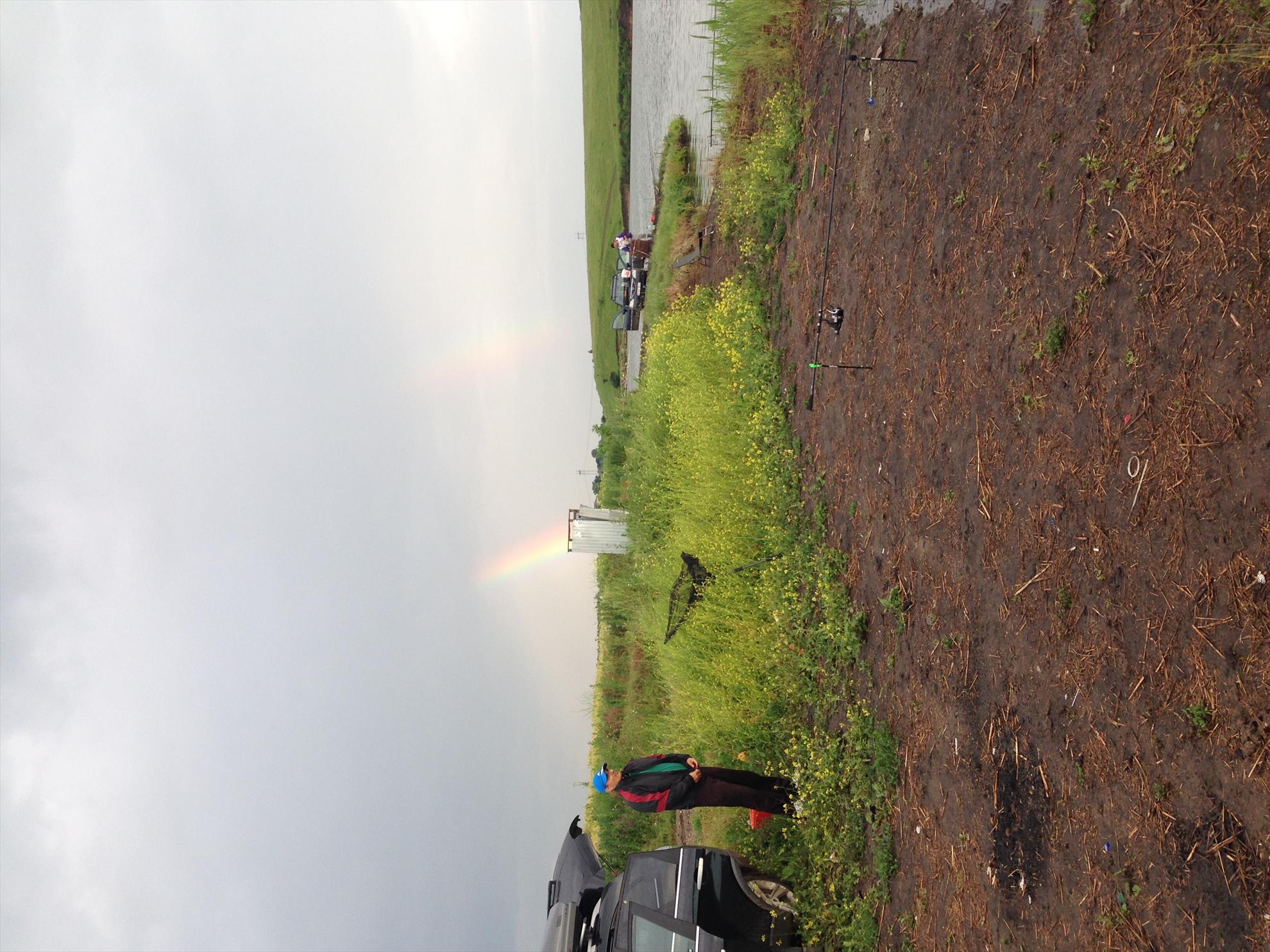 De pe balta adunate - image.jpg